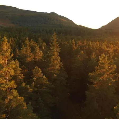 Earls Court House Gasthof 4*